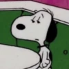snoopy 23