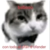 Shitpost Gatuno 🤑 15