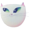 cats by @my_unrefined 19