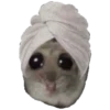 Hamster Sad 3 💖C☆ 28