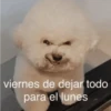 Random Shitpost #2 25
