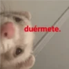 Random Shitpost #2 26
