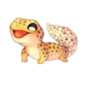 Smile Gekko 5
