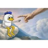 Dolan Duck 5