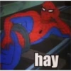 Spider-Man 7
