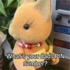 Sylvanian Drama 1 5