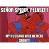 Spider-Man 8