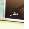 Oreki by 7