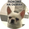 Sorry 5