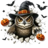 Halloween 🎃🦇👻🦇 Spooky 5