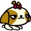 Sooga Cats (Pucca) 11