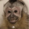 :D