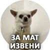 Sorry 6