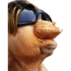 geysioy