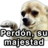 📮MEMES para ti 16📩 15