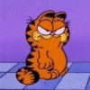 Garfield y sus caras🧡🐱✨ 5
