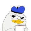 Dolan Duck 12