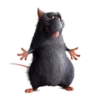 РататYй :: 6