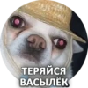 Sorry 9