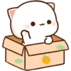 Peach Goma CAJA ❤️ 8