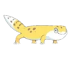 Smile Gekko 13