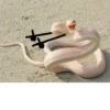 Snake Doodles 7