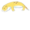 Smile Gekko 15