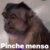 Pinche menso