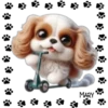 Perritos Tiernos ✺5🇻🇪 9