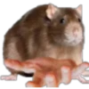 Emoticon 11
