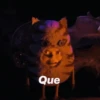 Que