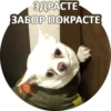 Sorry 12