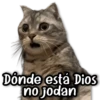 🌀 Memes & Shitpost #1.0 6