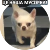 Sorry 13