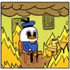 Dolan Duck 18