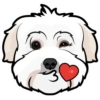 Arbie 7