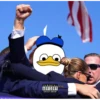 Dolan Duck 19
