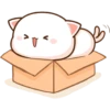 Peach Goma CAJA ❤️ 11