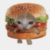 кошачья еда 7