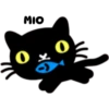 Sooga Cats (Pucca) 21
