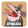 Michis y animales 2022 12