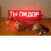 Больше стикеров тYт➡️ 17