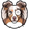Amy 5