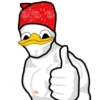 Dolan Duck 20