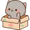 Peach Goma CAJA ❤️ 12