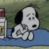 SNOOPY 12