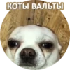 Sorry 14