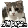 Michis & Perros #1 😹🐶 9
