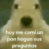Memes Respuestas 2 10