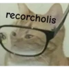 GATITOS 23